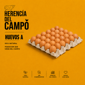 Huevos A