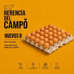 Huevos B