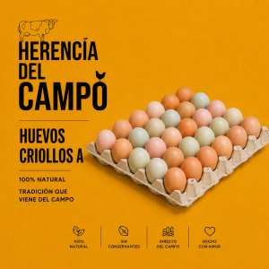 Huevos Criollos A