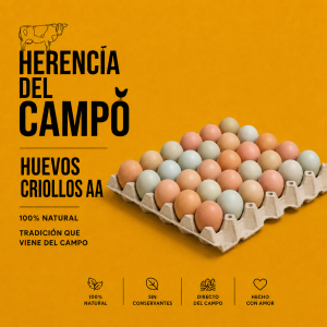Huevos Criollos AA