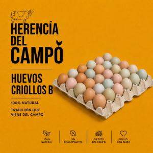 Huevos Criollos B