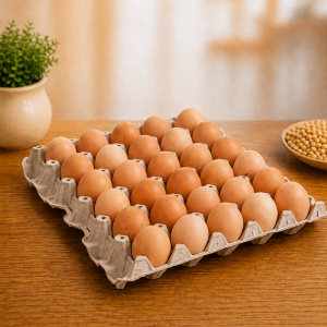Huevos Extra